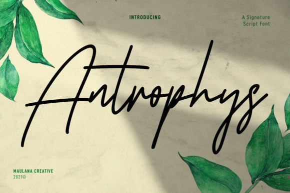 Antrophys Script: A Fresh Touch for Branding Materials