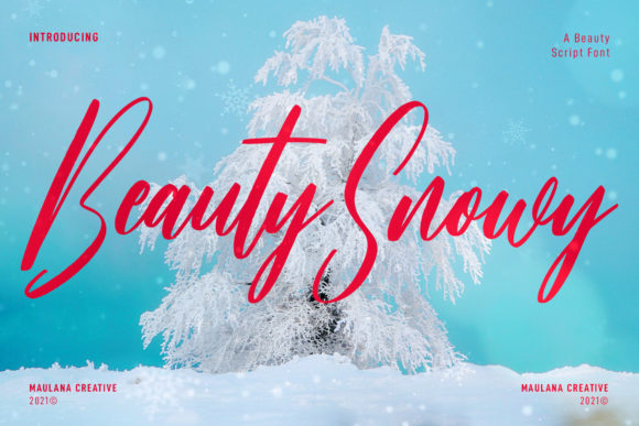Beauty Snowy Script: A Signature Font That Makes Your Brand Feel Intentional