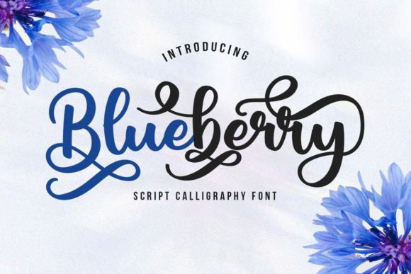 Blueberry Script: A Charming Font for Digital Marketing