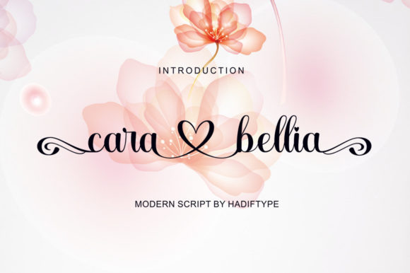 Cara Bellia Script for Campaign Creativity