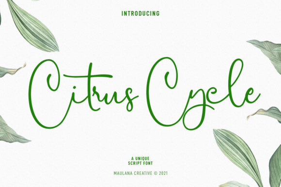 Citrus Cycle Script Font for Web Design
