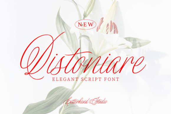 Distoniare Script: A Designer’s Take on a Creative Typeface