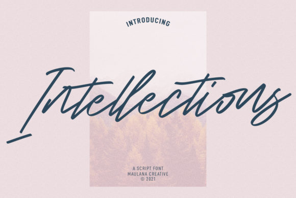 Intellections Script for Modern Web Design