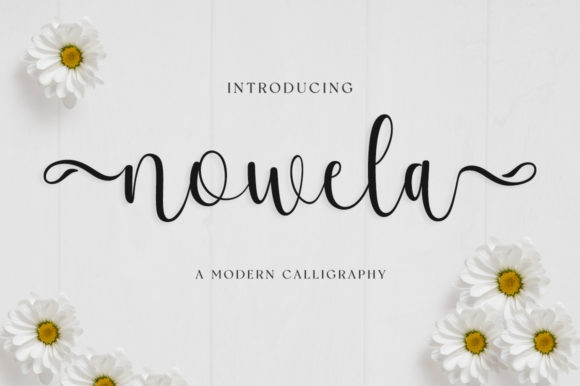 Nowela Script for Web Design Projects