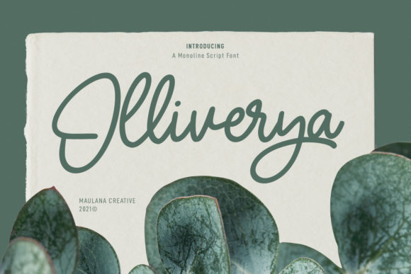 Olliverya Script: A Touch of Elegance in Branding