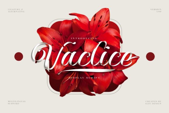 Vaclice Script: A Handwritten Font for Modern Web Design